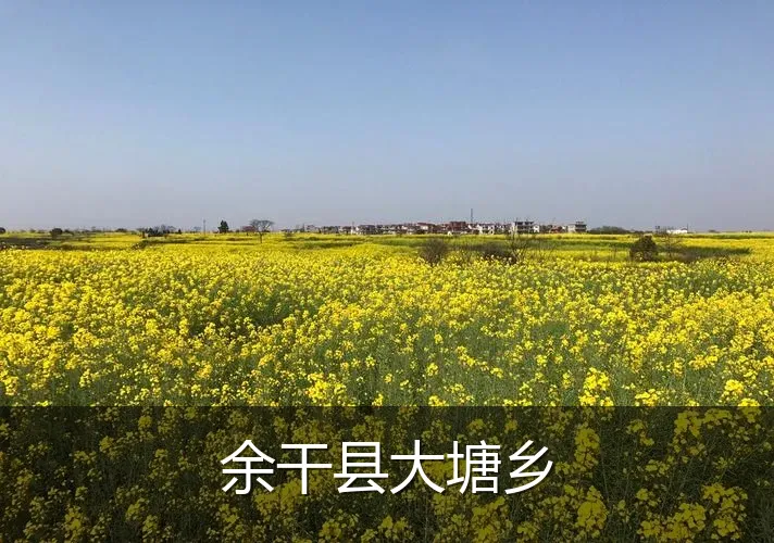 余干县大塘乡