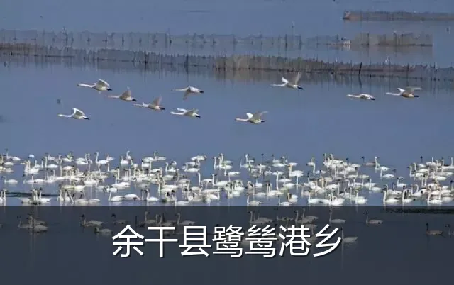 余干县鹭鸶港乡